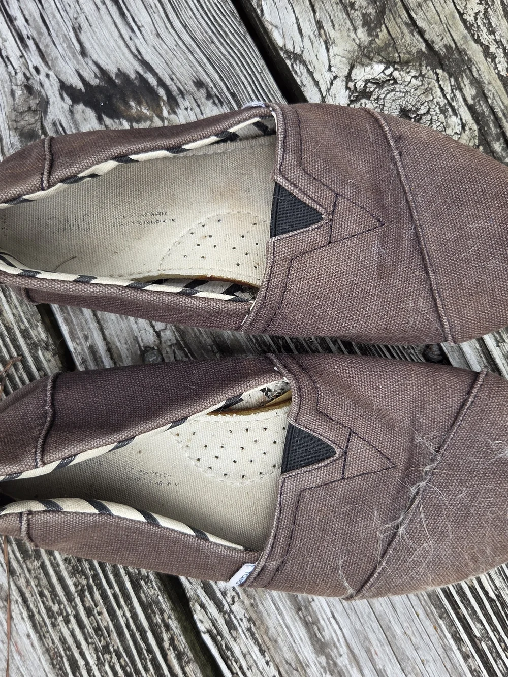 Toms Black Canvas